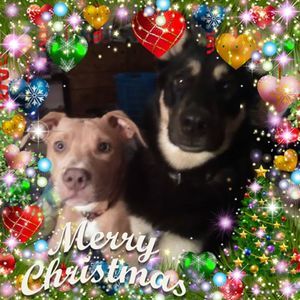 Meet your Posher, Destiney